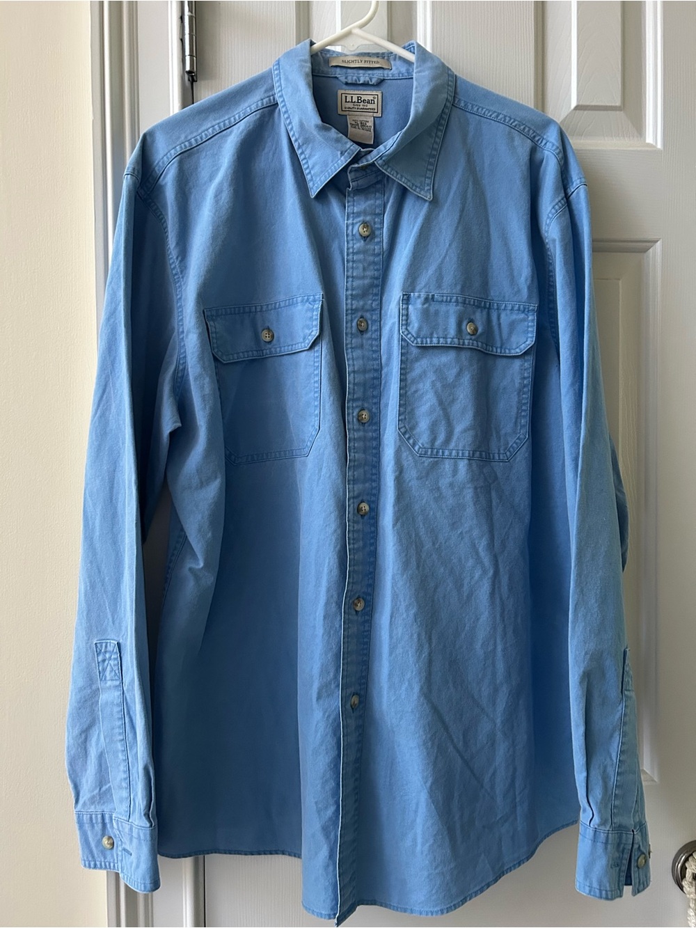 L.L. Bean Men's Sky Blue Button-Front Casual Shirt. Size XL Reg.